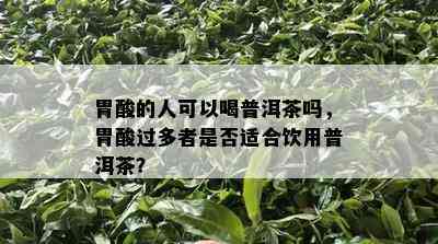 胃酸的人可以喝普洱茶吗，胃酸过多者是否适合饮用普洱茶？