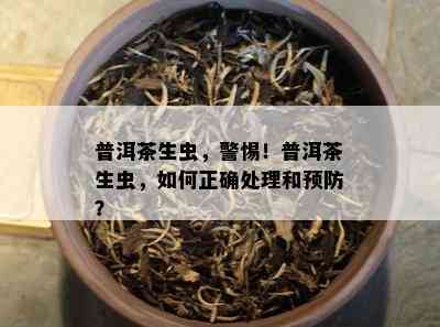 普洱茶生虫，警惕！普洱茶生虫，怎样正确解决和预防？