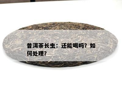 普洱茶长虫：还能喝吗？怎样解决？