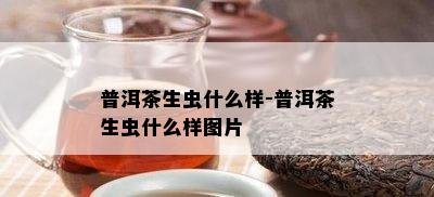 普洱茶生虫什么样-普洱茶生虫什么样图片