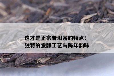 这才是正宗普洱茶的特点：独特的发酵工艺与陈年韵味