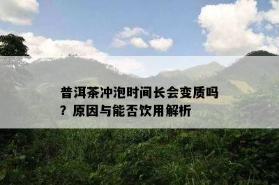 普洱茶冲泡时间长会变质吗？起因与能否饮用解析