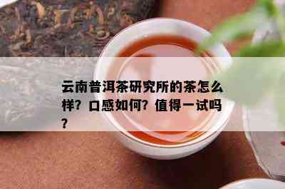 云南普洱茶研究所的茶怎么样？口感如何？值得一试吗？