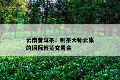 云南普洱茶：制茶大师云集的国际博览交易会