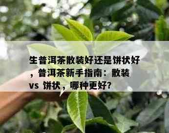 生普洱茶散装好还是饼状好，普洱茶新手指南：散装 vs 饼状，哪种更好？