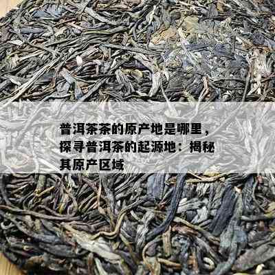 普洱茶茶的原产地是哪里，探寻普洱茶的起源地：揭秘其原产区域