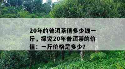 20年的普洱茶值多少钱一斤，探究20年普洱茶的价值：一斤价格是多少？