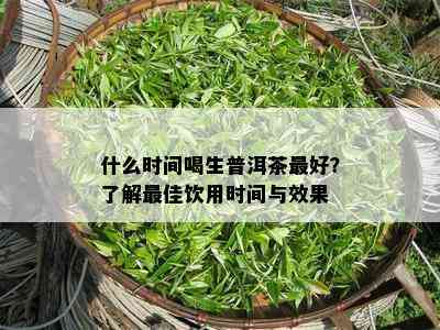 什么时间喝生普洱茶更好？熟悉更佳饮用时间与效果