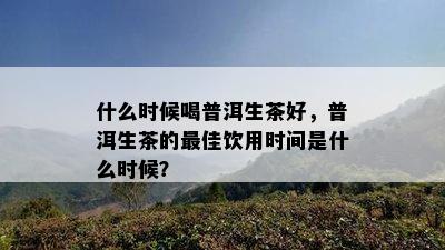 什么时候喝普洱生茶好，普洱生茶的更佳饮用时间是什么时候？