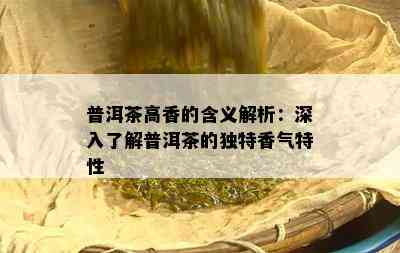 普洱茶高香的含义解析：深入熟悉普洱茶的特别香气特性