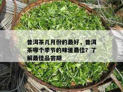 普洱茶几月份的更好，普洱茶哪个季节的味道更佳？熟悉更佳品尝期