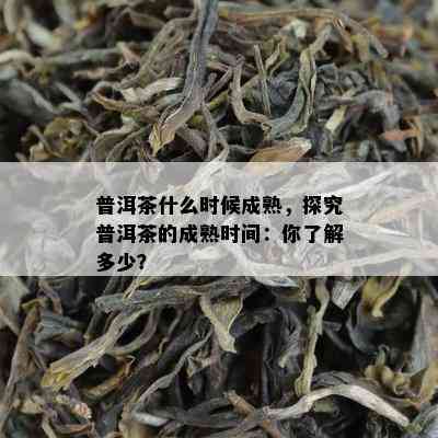 普洱茶什么时候成熟，探究普洱茶的成熟时间：你熟悉多少？