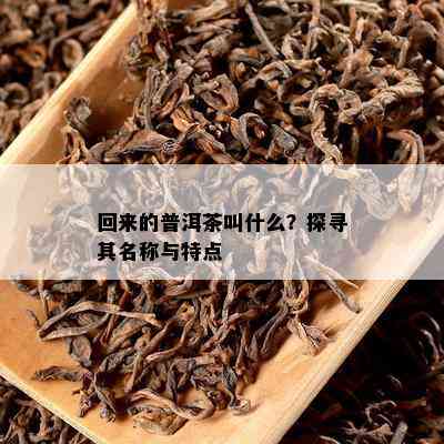 回来的普洱茶叫什么？探寻其名称与特点