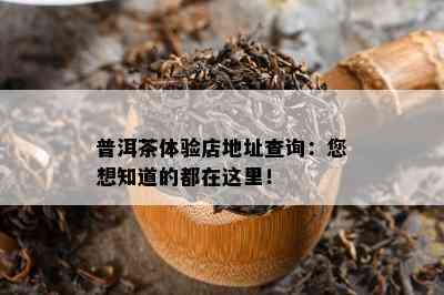 普洱茶体验店地址查询：您想知道的都在这里！