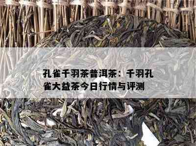 孔雀千羽茶普洱茶：千羽孔雀大益茶今日行情与评测