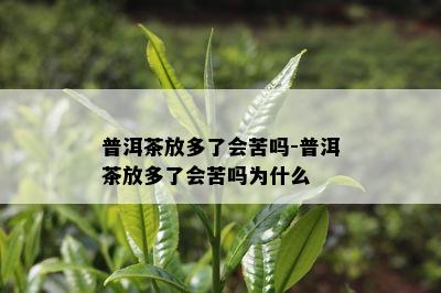 普洱茶放多了会苦吗-普洱茶放多了会苦吗为什么