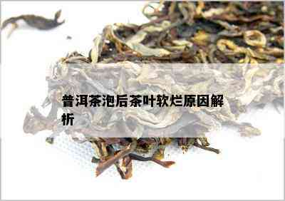 普洱茶泡后茶叶软烂原因解析