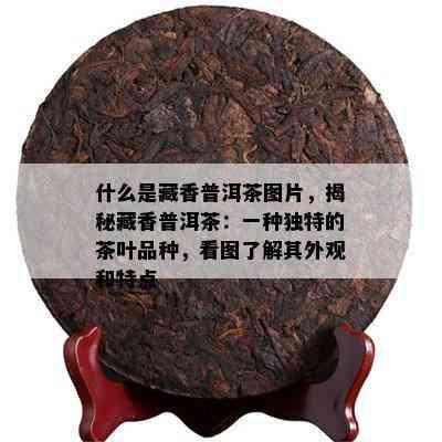 什么是藏香普洱茶图片，揭秘藏香普洱茶：一种特别的茶叶品种，看图熟悉其外观和特点