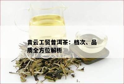 青云工贸普洱茶：档次、品质全方位解析