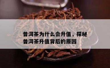 普洱茶为什么会升值，探秘普洱茶升值背后的起因