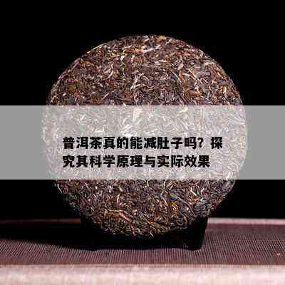 普洱茶真的能减肚子吗？探究其科学原理与实际效果