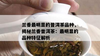 兰香最明显的普洱茶品种，揭秘兰香普洱茶：最明显的品种特征解析