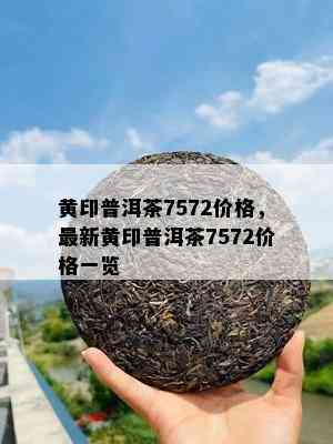 黄印普洱茶7572价格，最新黄印普洱茶7572价格一览