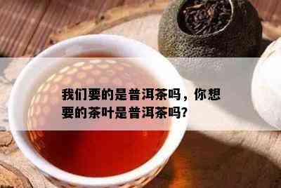 我们要的是普洱茶吗，你想要的茶叶是普洱茶吗？