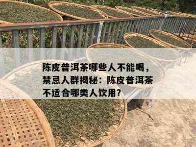 陈皮普洱茶哪些人不能喝，禁忌人群揭秘：陈皮普洱茶不适合哪类人饮用？