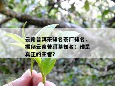 云南普洱茶知名茶厂排名，揭秘云南普洱茶知名：谁是真正的王者？