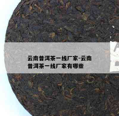 云南普洱茶一线厂家-云南普洱茶一线厂家有哪些