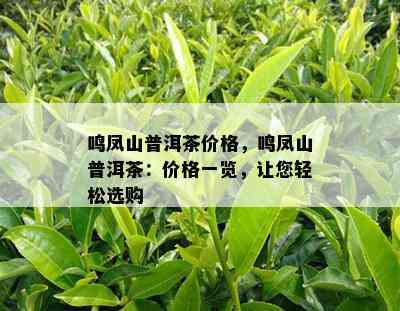 鸣凤山普洱茶价格，鸣凤山普洱茶：价格一览，让您轻松选购