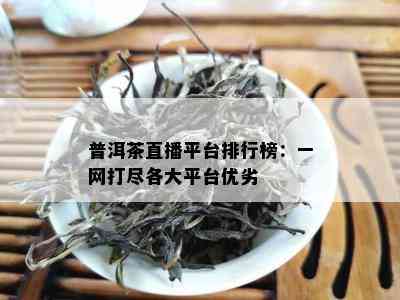 普洱茶直播平台排行榜：一网打尽各大平台优劣