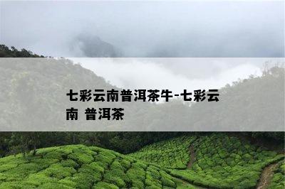 七彩云南普洱茶牛-七彩云南 普洱茶