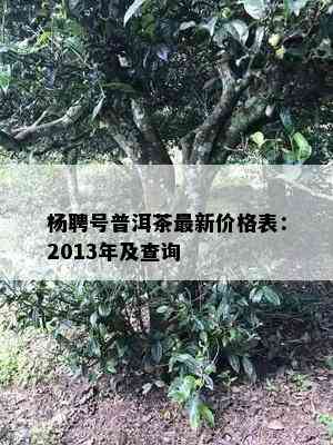 杨聘号普洱茶最新价格表：2013年及查询