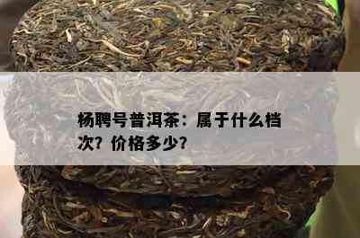 杨聘号普洱茶：属于什么档次？价格多少？