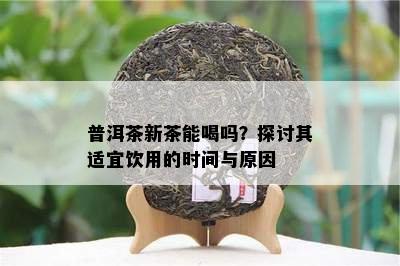 普洱茶新茶能喝吗？探讨其适宜饮用的时间与起因