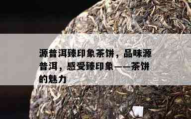 源普洱臻印象茶饼，品味源普洱，感受臻印象——茶饼的魅力