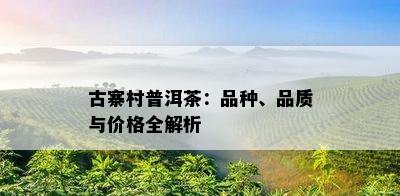 古寨村普洱茶：品种、品质与价格全解析