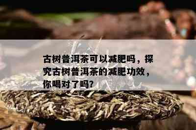 古树普洱茶可以减肥吗，探究古树普洱茶的减肥功效，你喝对了吗？