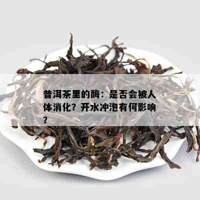 普洱茶里的酶：是不是会被人体消化？开水冲泡有何作用？