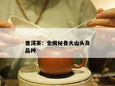 普洱茶：全揭秘各大山头及品种