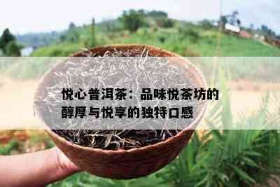 悦心普洱茶：品味悦茶坊的醇厚与悦享的独特口感