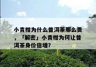 小青柑为什么普洱茶那么贵，「解密」小青柑为何让普洱茶身价倍增？