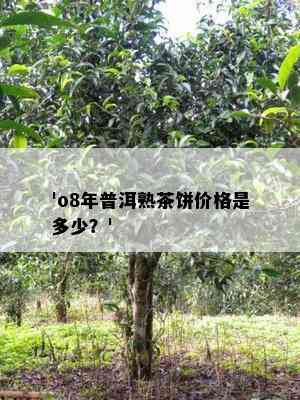 'o8年普洱熟茶饼价格是多少？'