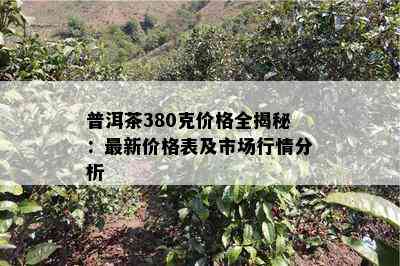 普洱茶380克价格全揭秘：最新价格表及市场行情分析