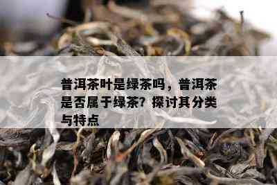 普洱茶叶是绿茶吗，普洱茶是不是属于绿茶？探讨其分类与特点