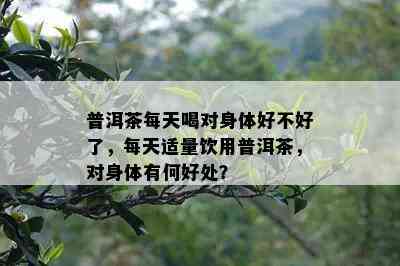 普洱茶每天喝对身体好不好了，每天适量饮用普洱茶，对身体有何好处？