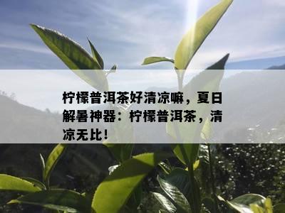 柠檬普洱茶好清凉嘛，夏日解暑神器：柠檬普洱茶，清凉无比！