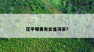 茌平哪里有卖普洱茶？